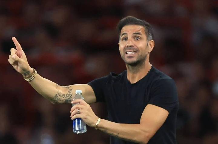 A cláusula que pode definir as próximas contratações de Cesc Fàbregas
