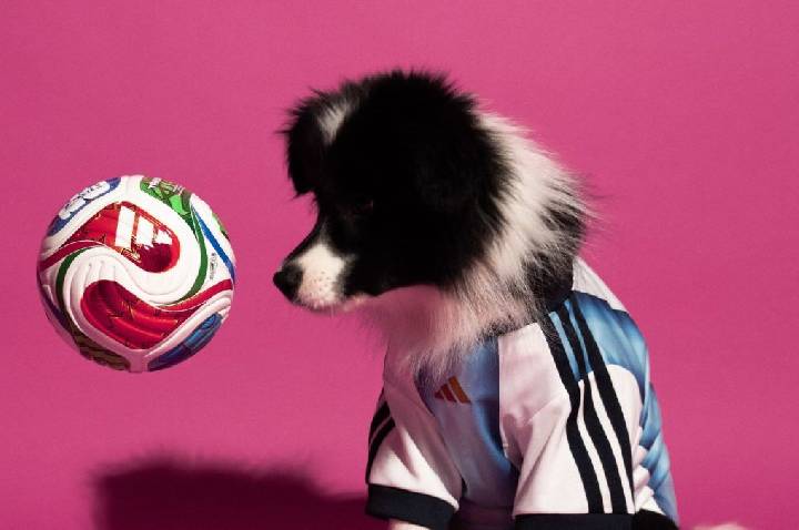 Adidas lança coleção especial de camisas da Copa 2026 para pets