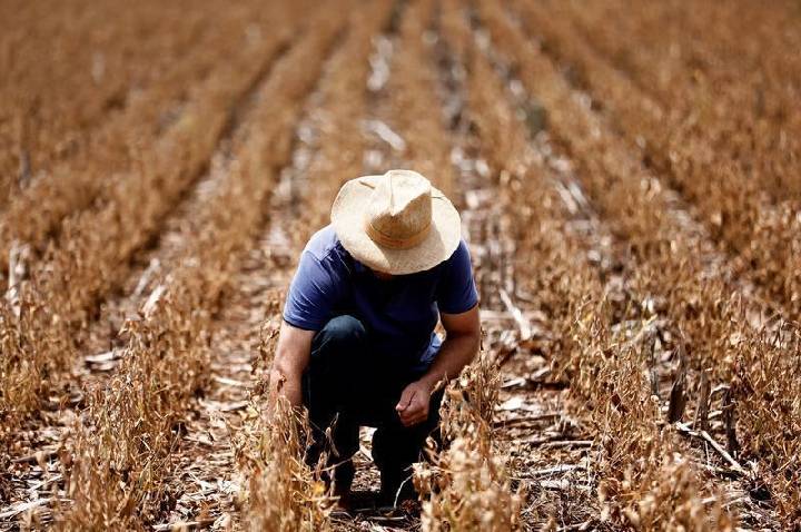 Agro pode estar deixando pior fase para trás, diz gestora