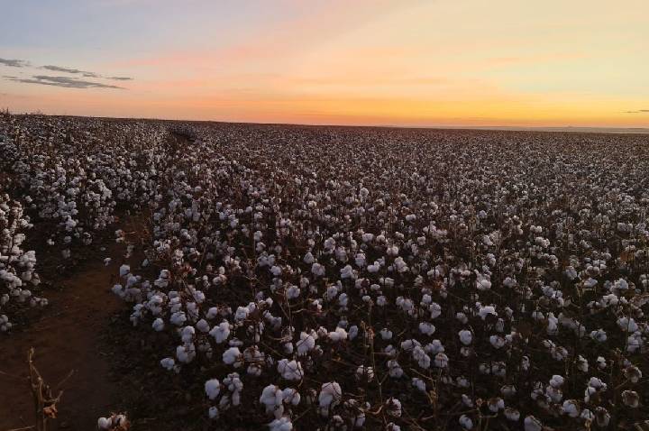 Agtech Stenon capta 18 milhões de euros em rodada série b