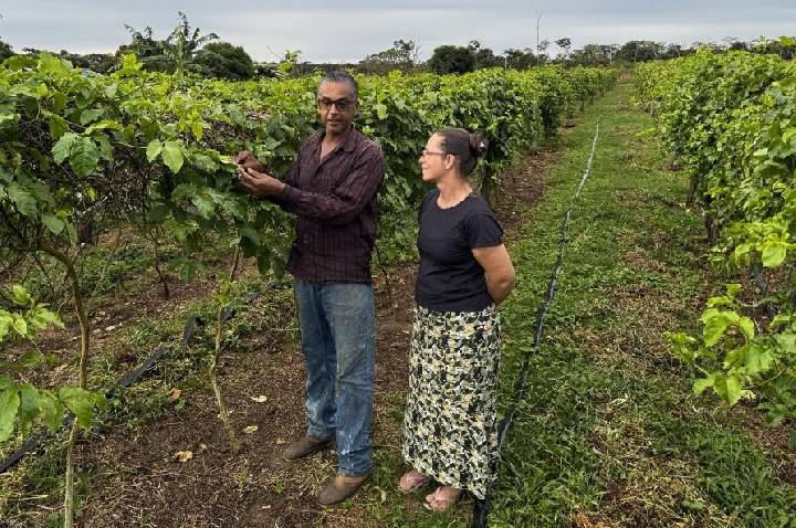 Alero no Agro: emenda garante regularização fundiária e transforma a vida de produtores rurais em Vilhena