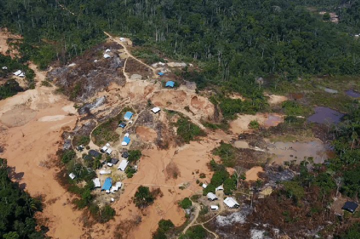 Amazonas tem maior número de terras indígenas sob pressão do desmatamento