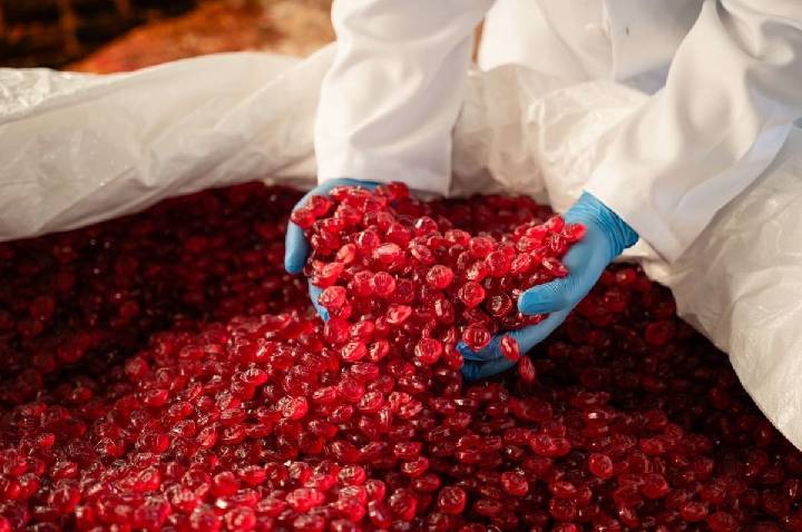 AmbiÁlcool produz etanol a partir de resíduos alimentares