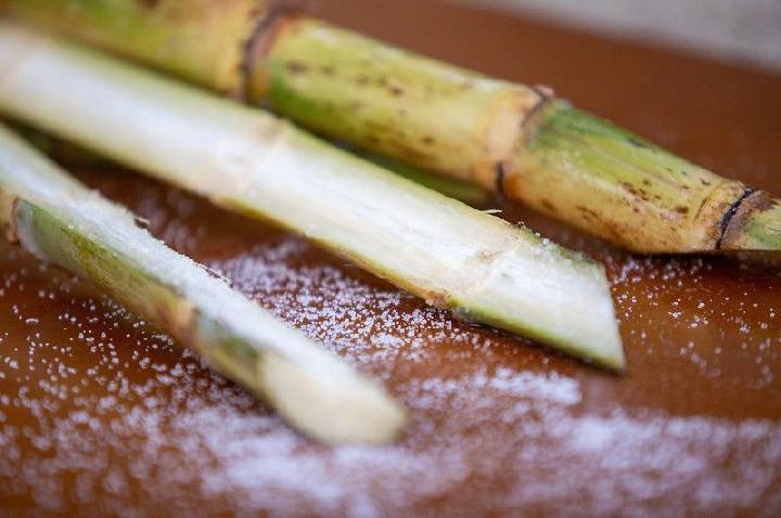 Análise: Brasil testa seu poder global nos biocombustíveis