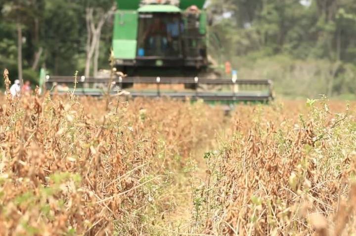 Análise: Indústria e agro veem efeito bilionário no fim da escala 6×1