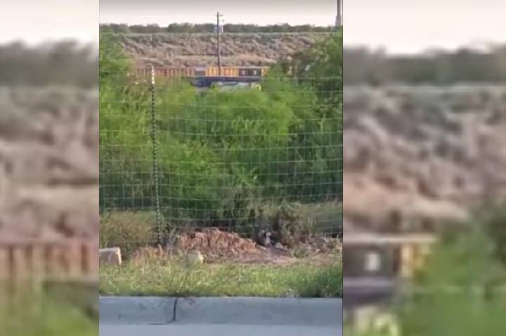 Ao menos seis corpos são encontrados em vagão de trem nos EUA, diz polícia