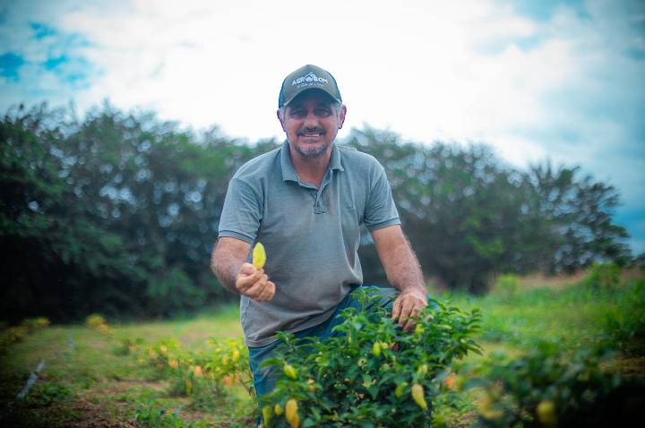 Aplicativo PVH+ disponibiliza Cadastro Municipal do Produtor Rural e amplia acesso aos serviços