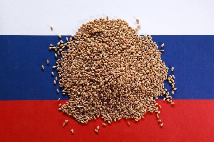 Argus eleva previsão da safra de trigo da Rússia