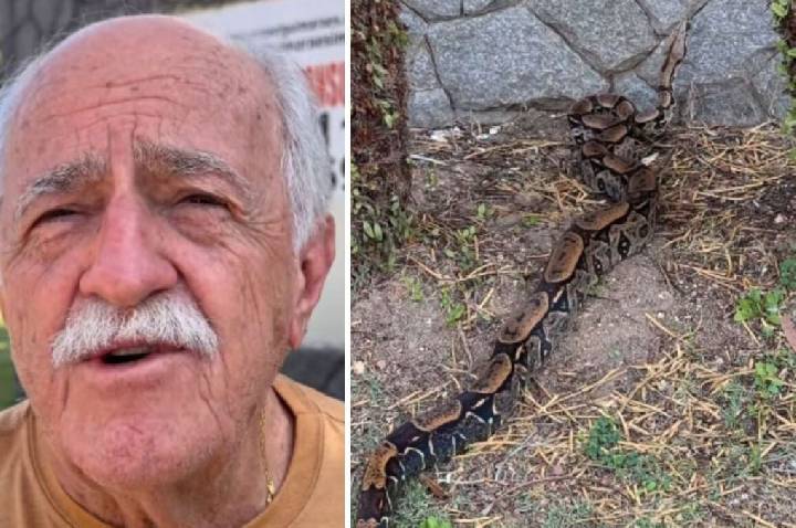 Ary Fontoura encontra jiboia em sua casa no Rio: “Visita inesperada”