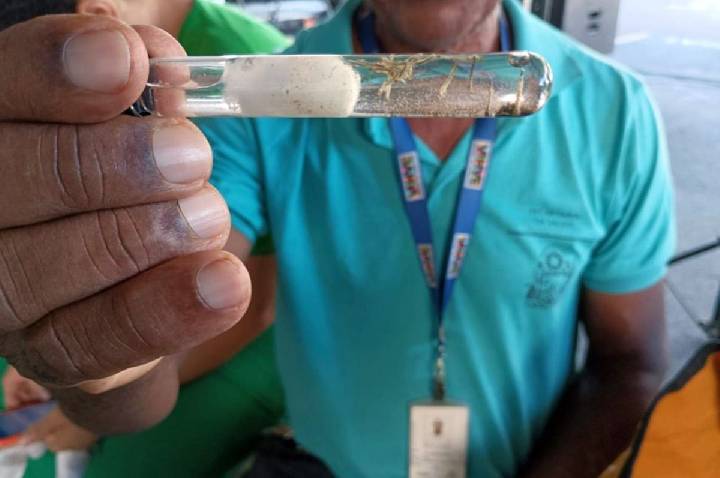 Bahia registra cerca de 8 mil casos prováveis de dengue em 2026