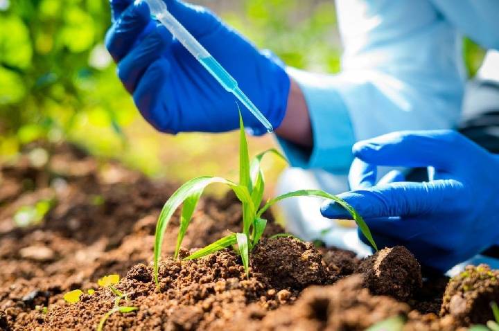 BNDES faz chamada pública de R$ 40 milhões para produção de bioinsumos