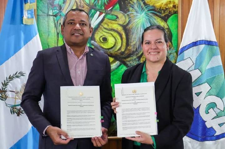 Brasil e Guatemala assinam acordo para cooperação agropecuária