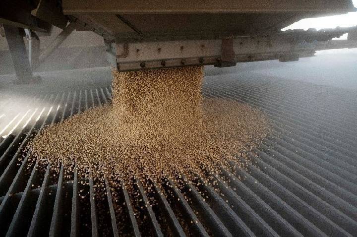 Cadeia de soja e biodiesel cresce quase 12% no PIB brasileiro em 2025