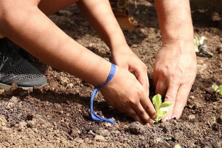Candidatos recebem apelo por apoio à agroecologia