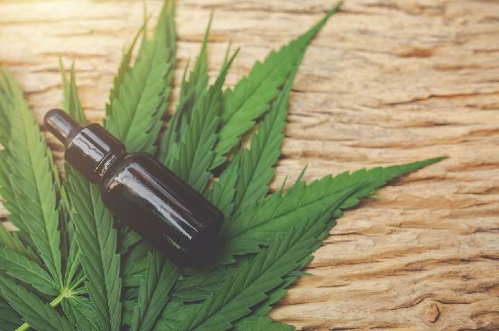 Cannabis medicinal: importação aumenta 60% e bate recorde histórico
