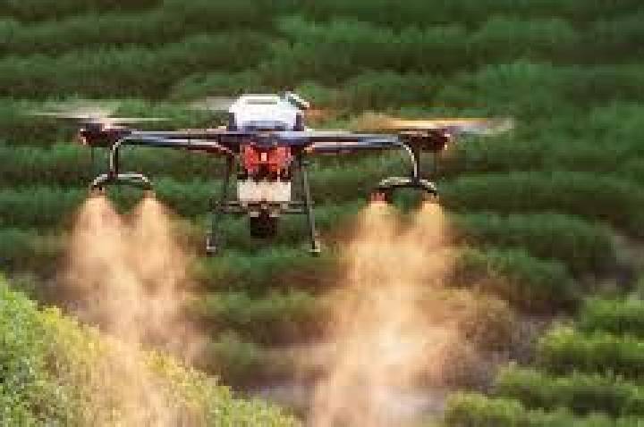 China amplia participação em feiras agrícolas do Brasil