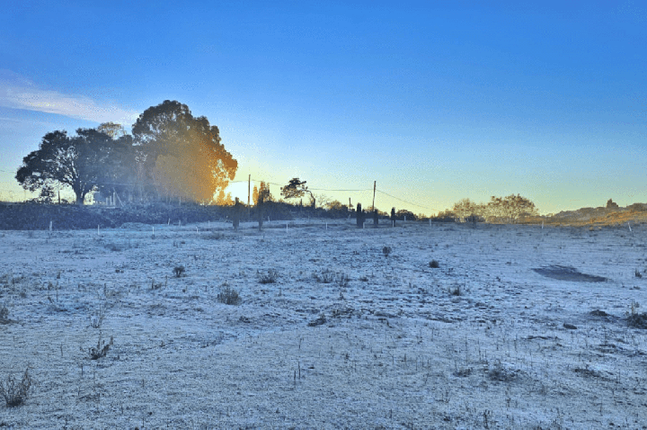 Cidade na serra catarinense registra menor temperatura do ano: -6,7°C