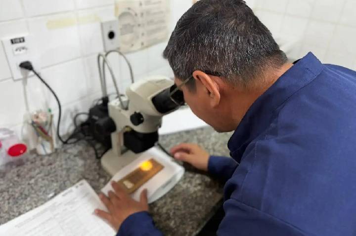 Coleta de ovitrampas avança na preparação para o Método Wolbachia