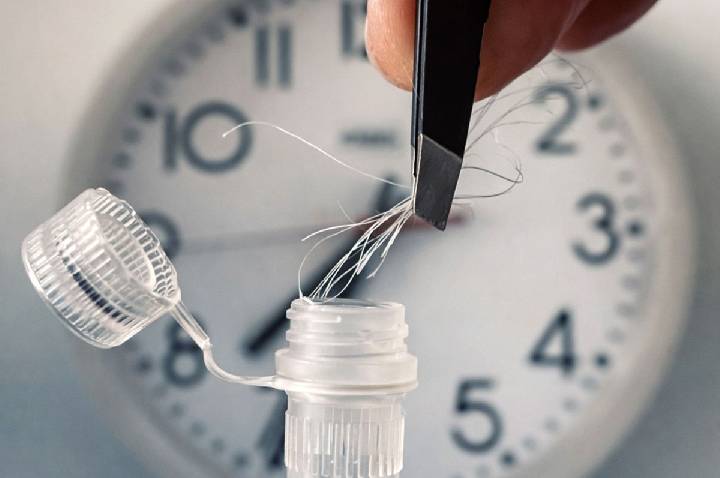 Como usar o relógio biológico a seu favor? Resposta está na raiz do cabelo