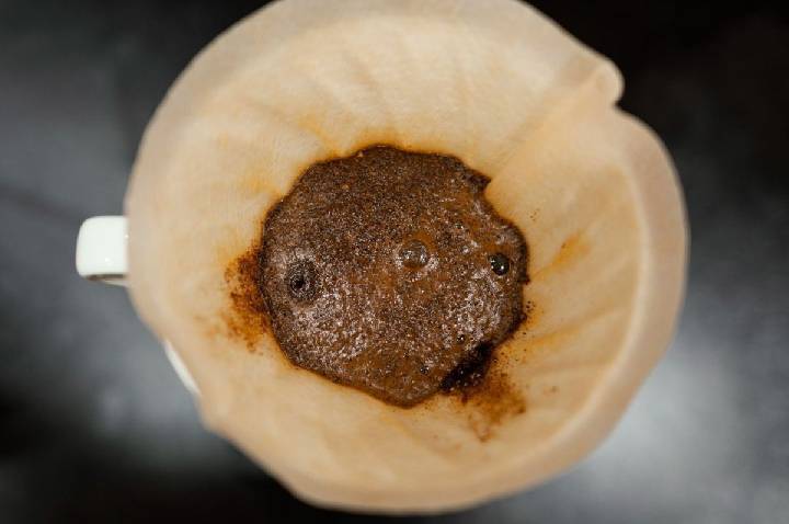 Consumo de café e biscoitos fortalece estratégia de empresa belga