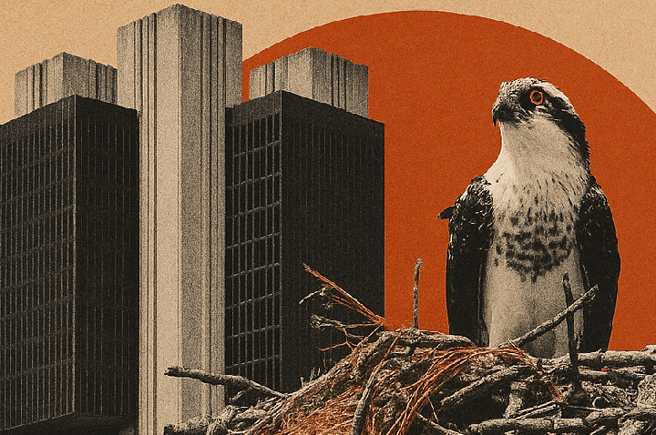 Contratos de Copom: 90% do mercado aposta em corte de 0,25 nesta quarta