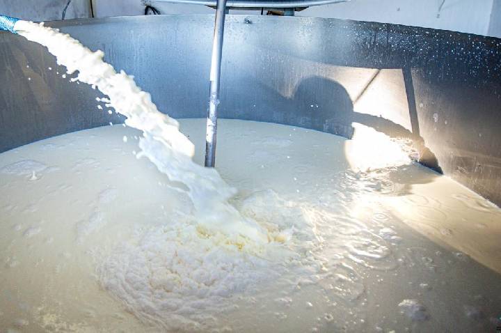Dia Internacional do Leite destaca importância da cadeia produtiva para a economia de Rondônia