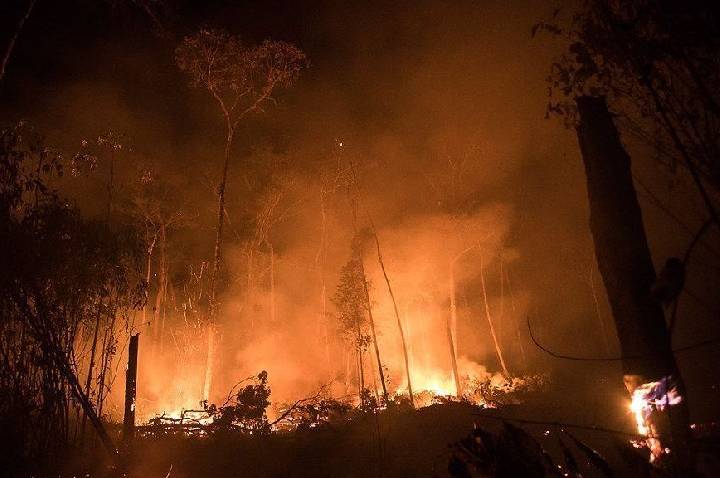 El Niño gera alerta severo de riscos de incêndios no Brasil