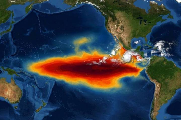 El Niño pode afetar oferta e cotações de soja, diz economista