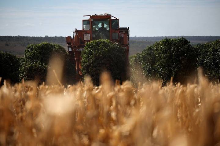 Empresas do agro registram salto na rotatividade de CEOs no Brasil