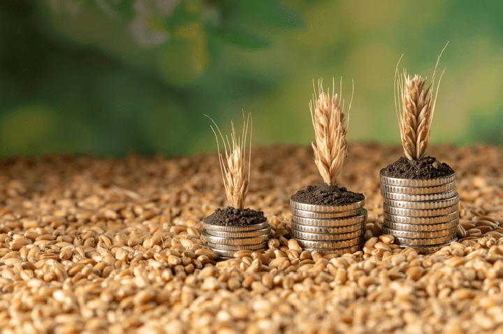 Estoque de Cédulas de Produto Rural cresce 13% em maio de 2026