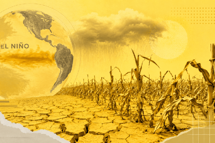 Estoques recordes e tecnologia amortecem impacto do El Niño