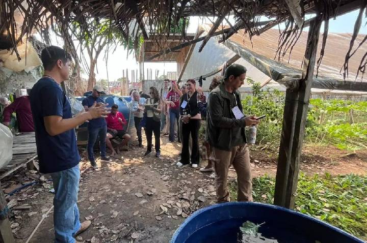 Expansão da Agricultura Urbana em Porto Velho Abrange Novas Oportunidades para a Produção de Alimentos
