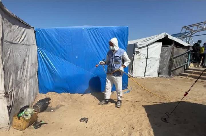 Famílias em Gaza lutam contra infestação de ratos em campos de refugiados