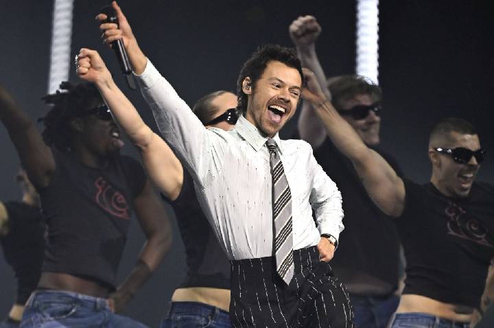 Fãs de Harry Styles reclamam de visão em área VIP; equipe se pronuncia