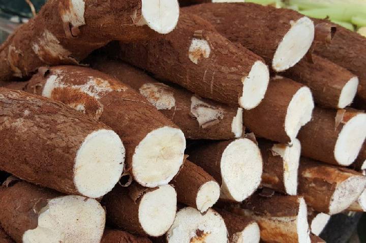 Feijão e mandioca: como itens tão brasileiros influenciaram na cesta básica