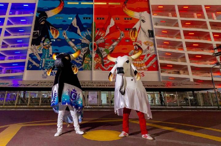 Festival de Parintins 2025: conheça os 21 itens de Caprichoso e Garantido