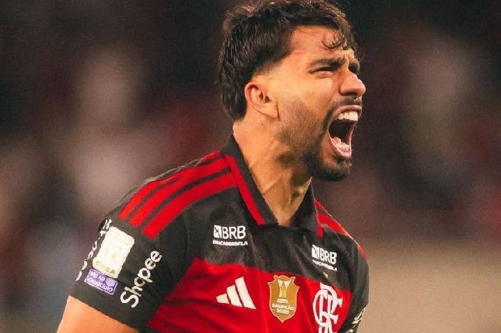Flamengo segue com amplo favoritismo ao título do Brasileirão, aponta UFMG