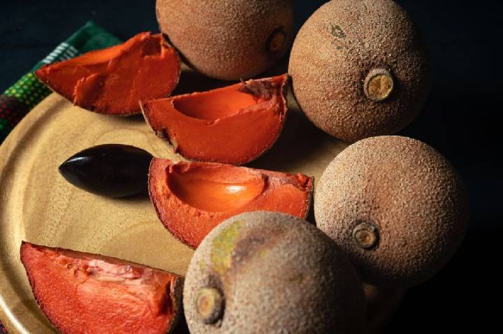 Fruta preta com sabor de chocolate é rica em antioxidantes; entenda