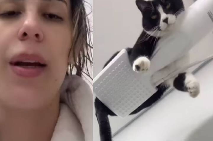 Gato deixa dona assustada e interrompe banho ao se pendurar em chuveiro