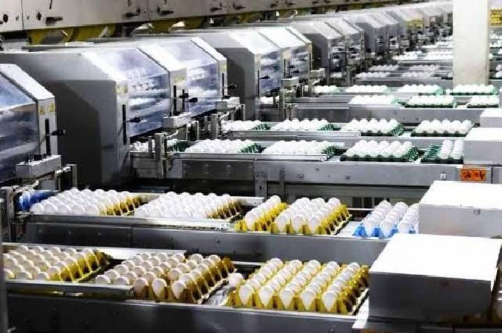 Granja Faria poderá antecipar pagamento de emissão de R$ 200 milhões