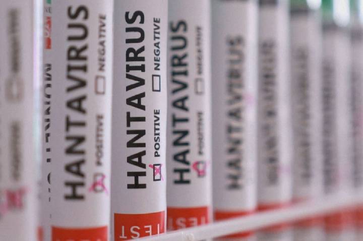 Hantavírus: países adotam protocolos próprios após casos; entenda
