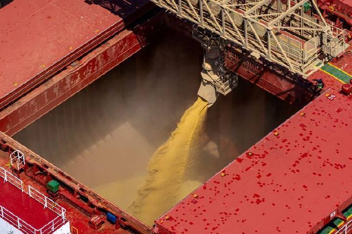 Importações de soja dos EUA pela China mais que dobram em julho