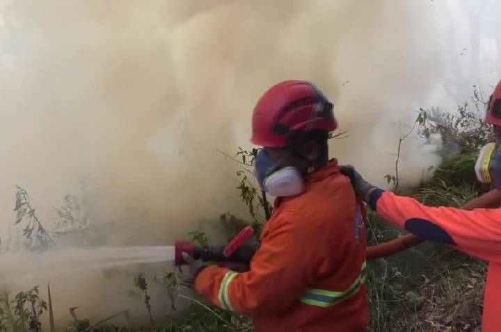 Incêndio florestal se alastra e fecha acesso ao Monte Bromo, na Indonésia