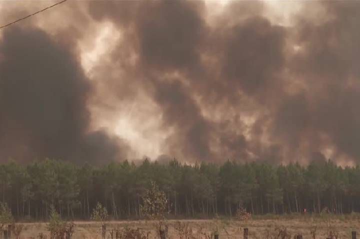 Incêndios florestais avançam e ameaçam Bordeaux, na França