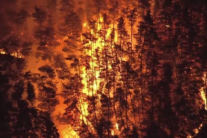 Incêndios florestais provocam ordens de retirada no norte do Japão