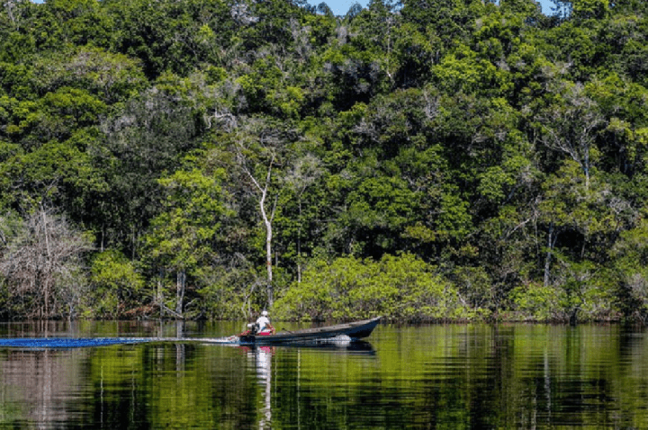 Inpe: Amazônia tem menor nível de desmatamento no 1º semestre em dez anos