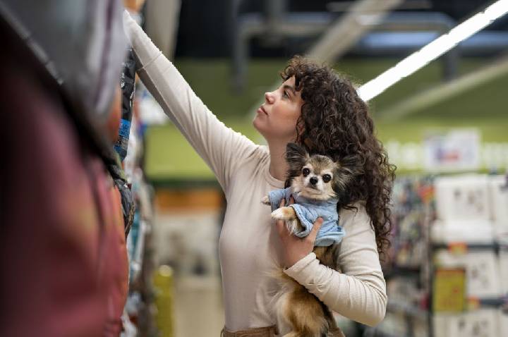Inverno exige atenção redobrada e check-ups preventivos para cães e gatos