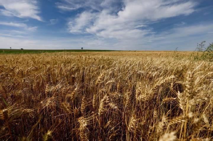 Itaú BBA busca captar R$ 4,85 bilhões com novo Fiagro