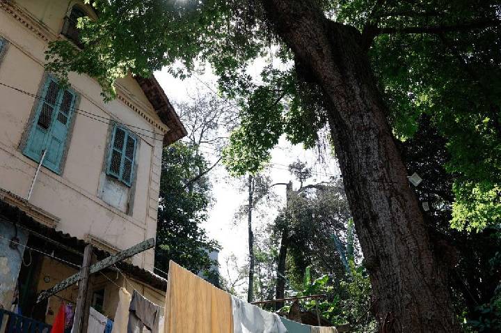 Lições de resistência em quilombo urbano na zona sul do Rio