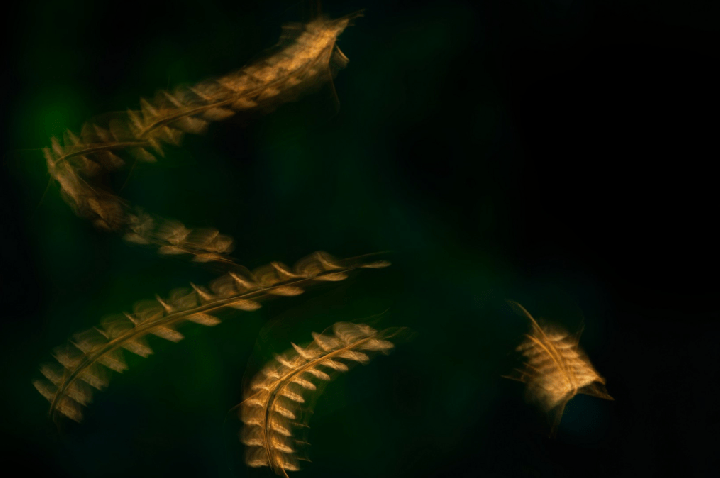 Locais que primeiros humanos viveram na África foram moldados pela malária